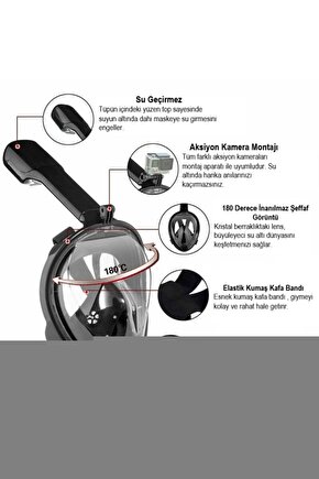 Matisse - Sanat - Soyut - Doğa - Yaşam ( Tekli Çerçevesiz ) Poster - Afiş - Tablo MKKM1596