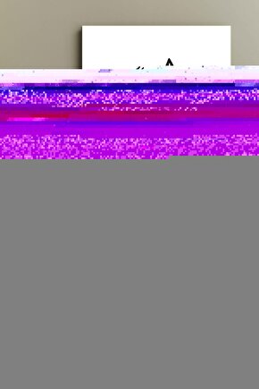 Matisse - Sanat - Soyut - Doğa - Yaşam ( Tekli Çerçevesiz ) Poster - Afiş - Tablo MKKM1584