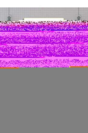 Mtp-1376rl-5avdf Erkek Kol Saati