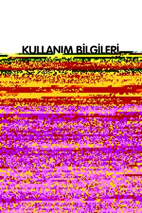 Matisse - Sanat - Soyut - Doğa - Yaşam ( Tekli Çerçevesiz ) Poster - Afiş - Tablo MKKM1688