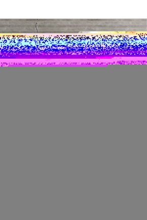 Court Classico Sneaker