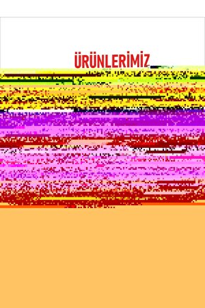 Slipstream Ripndip Unisex Sneaker