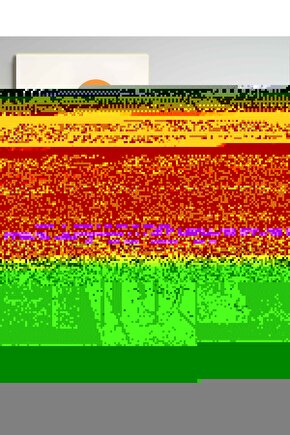 Matisse - Sanat - Soyut - Doğa - Yaşam ( Tekli Çerçevesiz ) Poster - Afiş - Tablo MKKM2173