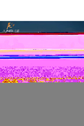 Matisse - Sanat - Soyut - Doğa - Yaşam ( Tekli Çerçevesiz ) Poster - Afiş - Tablo MKKM1313