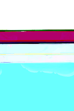 Matisse - Sanat - Soyut - Doğa - Yaşam ( Tekli Çerçevesiz ) Poster - Afiş - Tablo MKKM1241