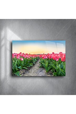 Gün Batımı Lale Tarlası Kanvas Tablo