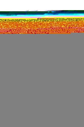 Matisse - Boho - Art Deco - Soyut - Doğa ( 3 lü Çerçevesiz ) Poster - Afiş - Tablo KR2C01129