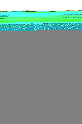 Matisse - Boho - Art Deco - Soyut - Doğa ( 3 lü Çerçevesiz ) Poster - Afiş - Tablo KR2C00689