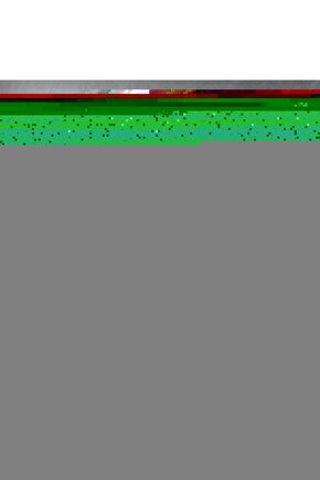 Matisse - Boho - Art Deco - Soyut - Doğa ( 3 lü Çerçevesiz ) Poster - Afiş - Tablo KR2C00899