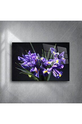 Mor İris Çiçeği Cam Tablo