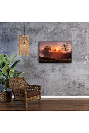 Matisse - Boho - Art Deco - Soyut - Doğa ( 3 lü Çerçevesiz ) Poster - Afiş - Tablo KR2C00039