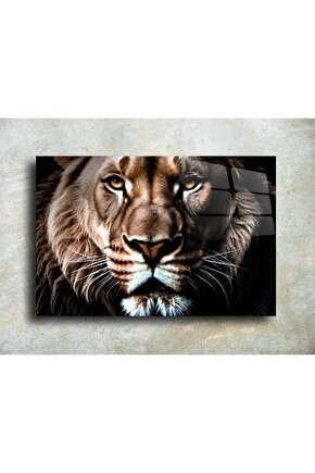 Aslan Yüzü Cam Tablo Duvar Dekoru