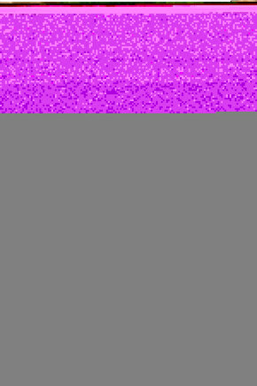 The Searchers (1956) 001 AFİŞ - POSTER