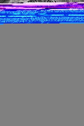 The Munsters (2022) AFİŞ - POSTER ( FOLYO ) - AFİŞ - POSTER-7656