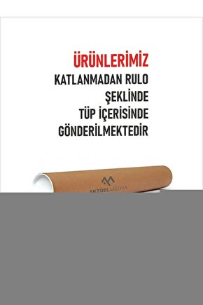 502 Ip Askılı Çıtçıtlı Body 6 Adet