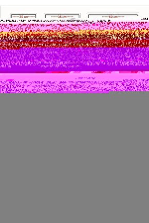 Unisex Çocuk Atlet 029