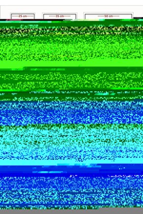 The Wizard of Oz (1939) 002 AFİŞ - POSTER