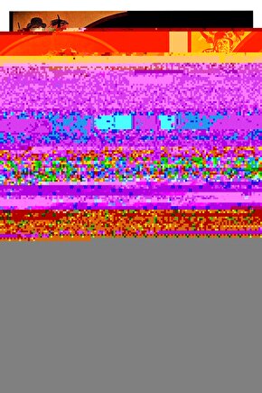 Every Which Way but Loose (1978) ( FOLYO ) - AFİŞ - POSTER-2712