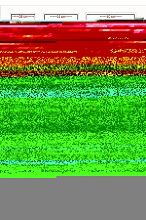 Fantasia (1940) 1 ( FOLYO ) - AFİŞ - POSTER-2763