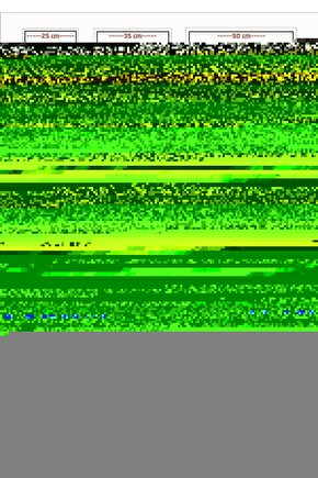 Avatar The Way of Water (2022) 0010 ( FOLYO ) - AFİŞ - POSTER-1459