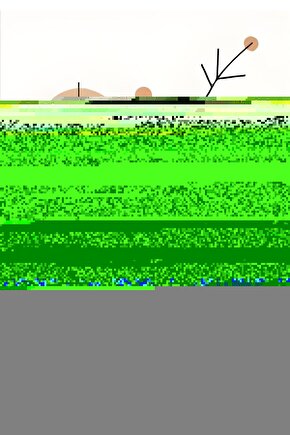 The Conjuring The Devil Made Me Do It (2021) 1 AFİŞ - POSTER ( FOLYO ) - AFİŞ - POSTER-6712