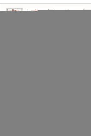 Matisse - Sanat - Soyut - Doğa - Ev - Yaşam ( 2 Li Çerçevesiz ) Poster - Afiş - Tablo NNHT819