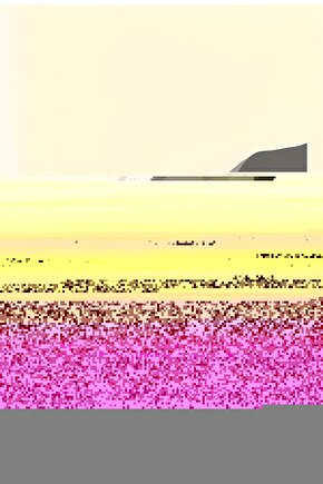 The Discreet Charm of the Bourgeoisie (1972) AFİŞ - POSTER ( FOLYO ) - AFİŞ - POSTER-6791