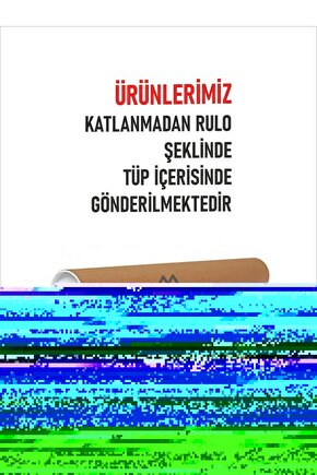 Matisse - Sanat - Soyut - Doğa - Ev - Yaşam ( 2 Li Çerçevesiz ) Poster - Afiş - Tablo NNHT110