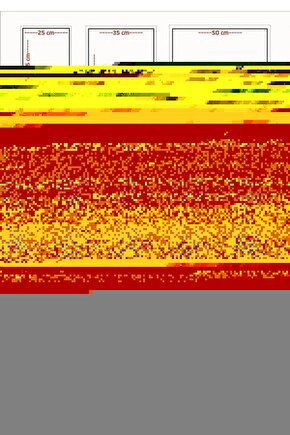 Matisse - Sanat - Soyut - Doğa - Ev - Yaşam ( 2 Li Çerçevesiz ) Poster - Afiş - Tablo NNHT139