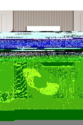 Matisse - Sanat - Soyut - Doğa - Yaşam ( Tekli Çerçevesiz ) Poster - Afiş - Tablo MKKM2321