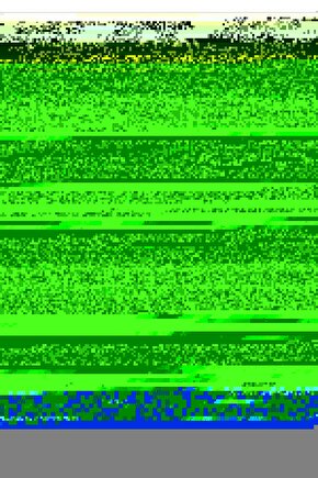 Matisse - Sanat - Soyut - Doğa - Yaşam ( Tekli Çerçevesiz ) Poster - Afiş - Tablo MKKM1976