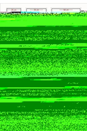 Matisse - Sanat - Soyut - Doğa - Yaşam ( Tekli Çerçevesiz ) Poster - Afiş - Tablo MKKM2313