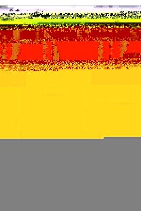 Matisse - Sanat - Soyut - Doğa - Yaşam ( Tekli Çerçevesiz ) Poster - Afiş - Tablo MKKM1455