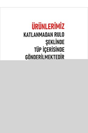 Frankenstein (1931) 1 ( FOLYO ) - AFİŞ - POSTER-2906