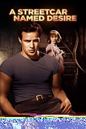 A Streetcar Named Desire (1951) 2 ( FOLYO ) - AFİŞ - POSTER-1135