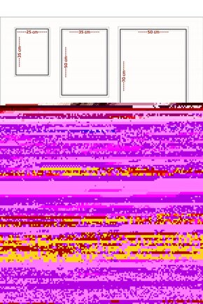 Matisse - Sanat - Soyut - Doğa - Ev - Yaşam ( 2 Li Çerçevesiz ) Poster - Afiş - Tablo NNHT326