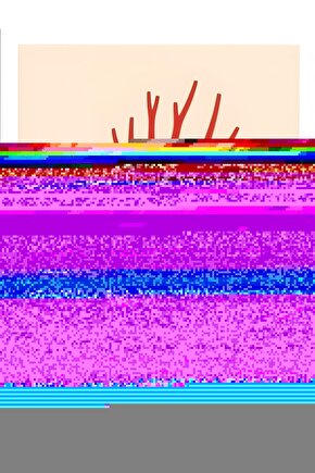 Matisse - Boho - Art Deco - Soyut - Doğa ( 3 lü Çerçevesiz ) Poster - Afiş - Tablo KR2C01236