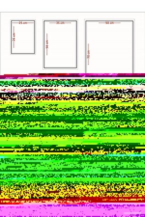 Matisse - Sanat - Soyut - Doğa - Ev - Yaşam ( 2 Li Çerçevesiz ) Poster - Afiş - Tablo NNHT440