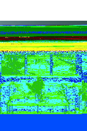 Matisse - Boho - Art Deco - Soyut - Doğa ( 3 lü Çerçevesiz ) Poster - Afiş - Tablo KR2C01215