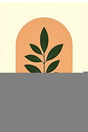 Muazzez Abacı  Hükümlüyüm