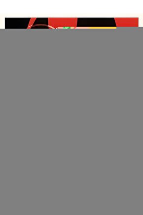 Bride & Prejudıce Gelinim Olur Musun?