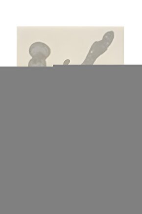 Copland  Güç Bölgesi