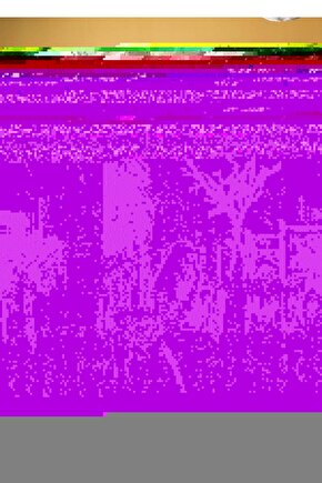 Matisse - Sanat - Soyut - Doğa - Yaşam ( Tekli Çerçevesiz ) Poster - Afiş - Tablo MKKM1739