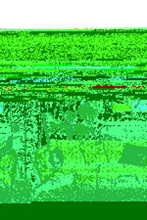 Matisse - Sanat - Soyut - Doğa - Yaşam ( Tekli Çerçevesiz ) Poster - Afiş - Tablo MKKM1633