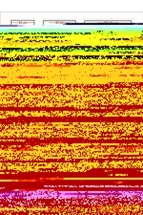 Taştaki Kuş Digital Art ( ÇERÇEVESİZ - ÇERÇEVE YOKTUR ) ( ULTRA HD ) FOLYO AFİŞ - POSTER