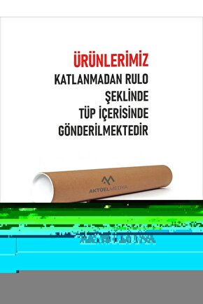 Pelikanlar Digital Art ( ÇERÇEVESİZ - ÇERÇEVE YOKTUR ) ( ULTRA HD ) FOLYO AFİŞ - POSTER