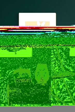 Matisse - Sanat - Soyut - Doğa - Yaşam ( Tekli Çerçevesiz ) Poster - Afiş - Tablo MKKM1145