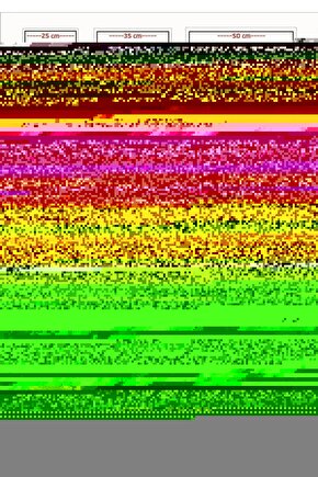 Matisse - Sanat - Soyut - Doğa - Yaşam ( Tekli Çerçevesiz ) Poster - Afiş - Tablo MKKM1157