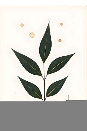 Star Trek Beyond (2016) 1 AFİŞ - POSTER ( FOLYO ) - AFİŞ - POSTER-6027