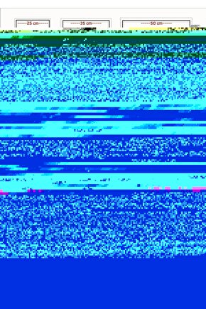 Matisse - Boho - Art Deco - Soyut - Doğa ( 3 lü Çerçevesiz ) Poster - Afiş - Tablo KR2C00292